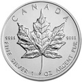 2013 1oz Canadian Maple Silver Coin
