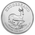2024 Silver Coins